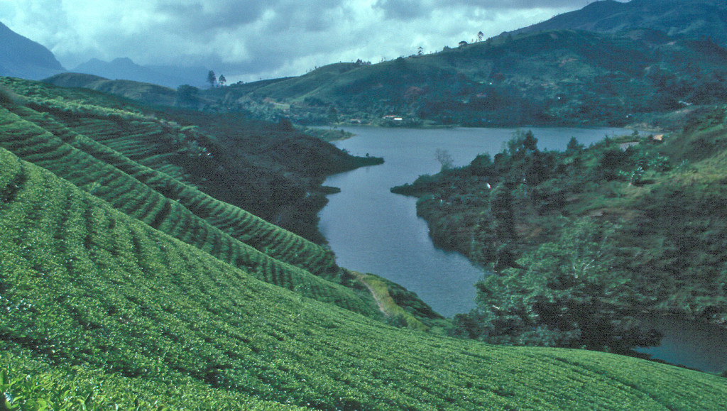 Asia: Sri Lanka, encabeza la lista de los mejores destinos para visitar en el 2013