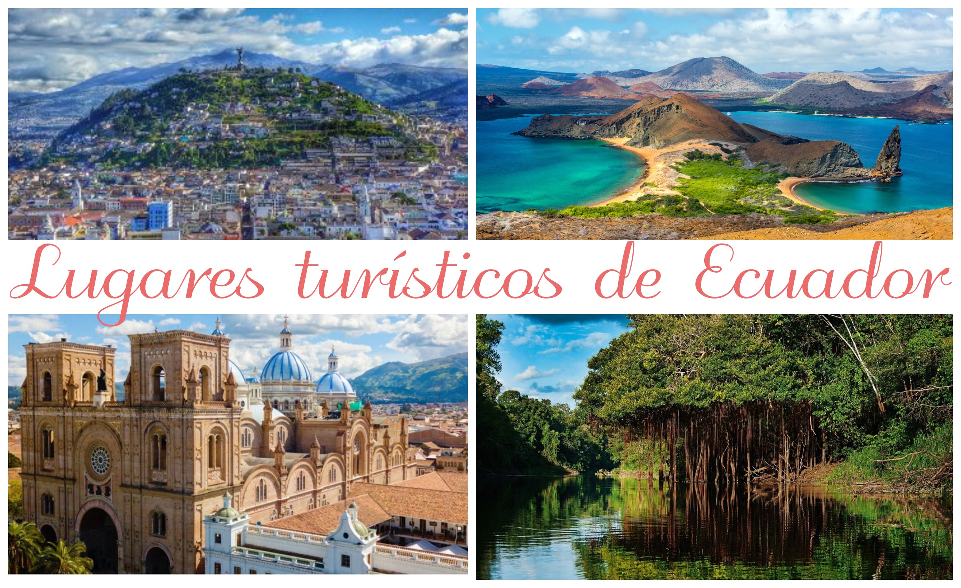 Explorando la maravillosa naturaleza y cultura de Ecuador: de la selva amazónica al patrimonio colonial